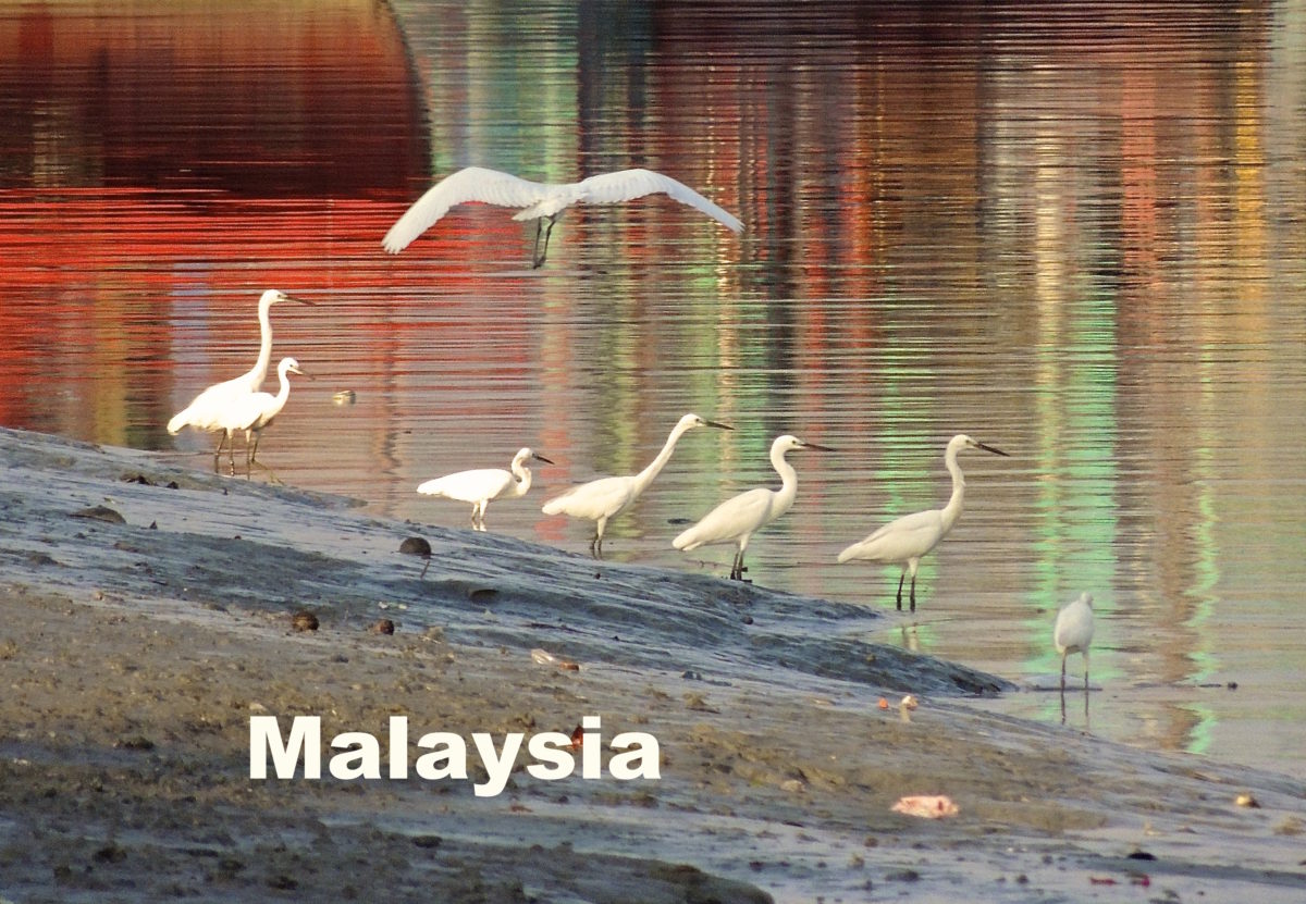 Malaysia